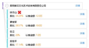 昆明紫云文化藝術(shù)咨詢有限責(zé)任公司 企業(yè)管理咨詢的專業(yè)服務(wù)