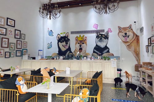 身邊的美學空間 蘇州這幾處公共文化體驗空間，文藝小資且充滿藝術靈感